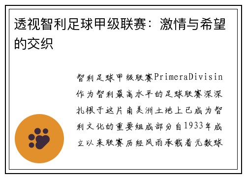 透视智利足球甲级联赛：激情与希望的交织