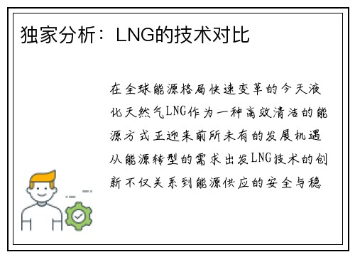 独家分析：LNG的技术对比