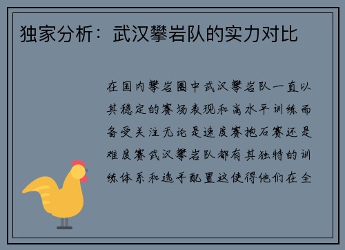 独家分析：武汉攀岩队的实力对比